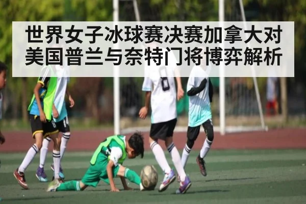 世界女子冰球赛决赛加拿大对美国普兰与奈特门将博弈解析